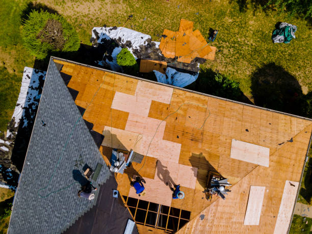 Best Roof Maintenance Services  in Emporia, VA