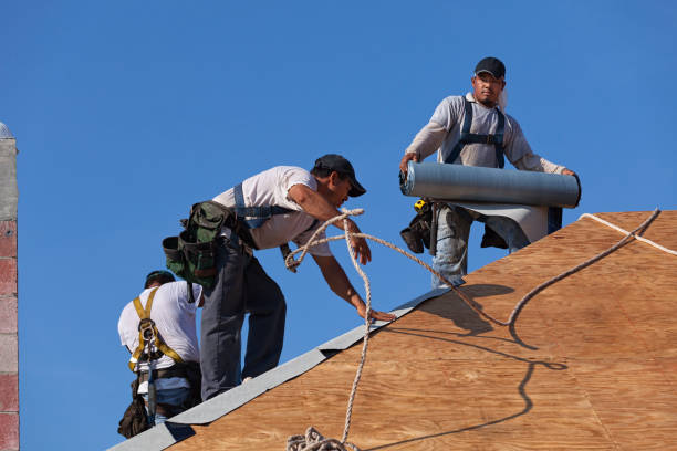 Best Gutter Installation and Roofing  in Emporia, VA