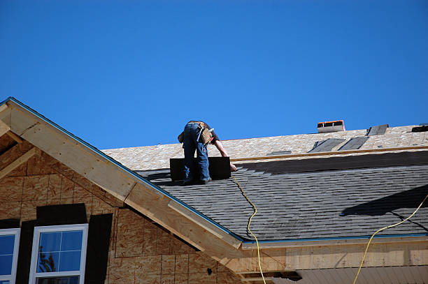 Best Roof Gutter Cleaning  in Emporia, VA